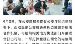 缅北最新爆料新闻视频,视频揭露惊人内幕