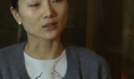 张艺谋老婆爆料事件视频,揭秘导演背后的家庭风波