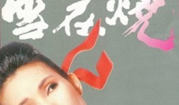 电影雪在烧在线观看,燃烧的复仇火焰，揭秘复仇之路